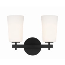 Colton 2 Light 15" Wide Vanity Light