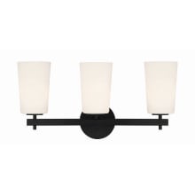 Colton 3 Light 23" Wide Vanity Light