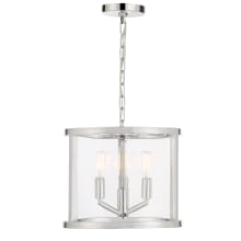 Devon 3 Light 12" Wide Pendant with Clear Glass Shade