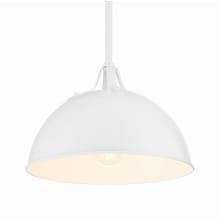 Soto 12" Wide Pendant
