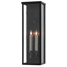 Tanzy 2 Light 24" Tall Outdoor Wall Sconce with Glass Shade