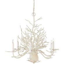 Seaward 6 Light Chandelier with White Coral