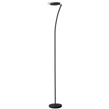 Single Light 72" Tall LED Floor Lamp