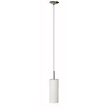 1 Light Mini Pendant