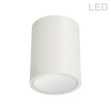 Echo 5" Wide LED Flush Mount Ceiling Fixture