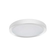 Flynn 12" Wide LED Flush Mount Ceiling Fixture