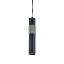 Passwell 2" Wide Mini Pendant