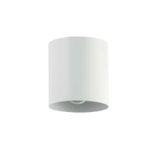 Theron 5" Wide Flush Mount Ceiling Fixture
