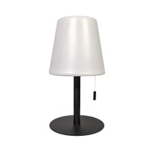 Tinsley 12" Tall LED Accent Table Lamp