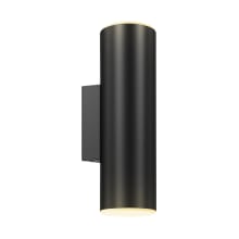 LED Wall 12" Tall 2 Light LED Outdoor Wall Sconce with Adjustable Beam Options