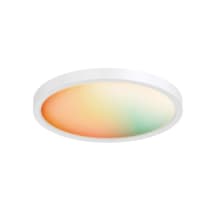 Smart Home 14" LED Flush Mount Ceiling Fixture - Full RGB + Adjustable Color Temperature