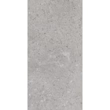 Dignitary - 12" x 24" Rectangle Floor and Wall Tile - Textured Visual - Sold by Carton (15.12 SF/Carton)