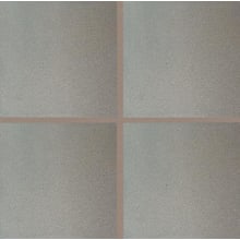 Quarry Textures - 6" x 6" Square Floor and Wall Tile - Unpolished Visual - Sold by Carton (11 SF/Carton)