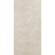 Dignitary - 12" x 24" Rectangle Floor and Wall Tile - Matte Visual - Sold by Carton (15.12 SF/Carton)