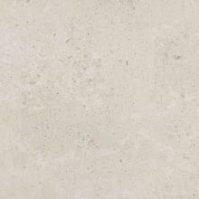 Dignitary - 24" x 24" Square Floor and Wall Tile - Matte Visual - Sold by Carton (15.2 SF/Carton)