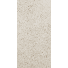 Dignitary - 24" x 48" Rectangle Floor and Wall Tile - Matte Visual - Sold by Carton (15.5 SF/Carton)