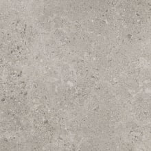 Dignitary - 24" x 24" Square Floor and Wall Tile - Matte Visual - Sold by Carton (15.2 SF/Carton)
