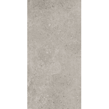 Dignitary - 47" x 23-7/16" Rectangle Tile - Unpolished Limestone Visual - SAMPLE ONLY
