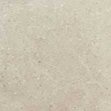 Dignitary - 24" x 24" Square Floor and Wall Tile - Matte Visual - Sold by Carton (15.2 SF/Carton)