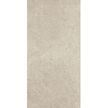 Dignitary - 24" x 48" Rectangle Floor and Wall Tile - Matte Visual - Sold by Carton (15.5 SF/Carton)