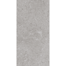 Dignitary - 47" x 23-7/16" Rectangle Tile - Unpolished Limestone Visual - SAMPLE ONLY