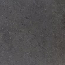 Dignitary - 24" x 24" Square Floor and Wall Tile - Matte Visual - Sold by Carton (15.2 SF/Carton)