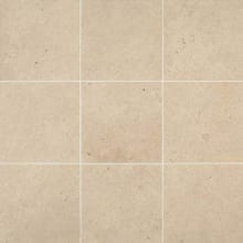 Industrial Park - 12" x 12" Square Floor and Wall Tile - Textured Visual - Sold by Carton (14.55 SF/Carton)