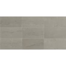 Raine - 3" x 9" Rectangle Ceiling, Floor, and Wall Tile - Polished Visual - Sold by Carton (3.6 SF/Carton)