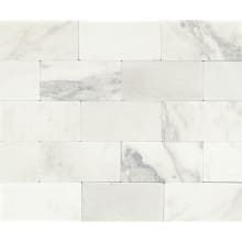 Marble - 3" x 6" Rectangle Floor and Wall Tile - Tumbled Visual - Sold by Carton (5 SF/Carton)