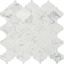 Marble - 13" x 14" Specialty Floor and Wall Tile - Polished Visual - Sold by Sheet (1 SF/Sheet)
