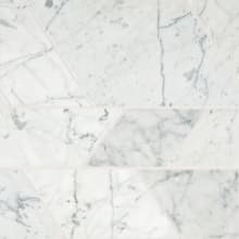 Marble - 12" x 12" Specialty Floor and Wall Tile - Polished Visual - Sold by Sheet (1 SF/Sheet)