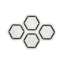Marble - 10" x 12" Hexagon Floor and Wall Tile - Polished Visual - Sold by Sheet (0.85 SF/Sheet)