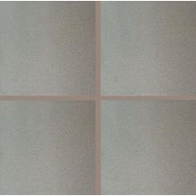 Quarry Textures - 8" x 8" Square Floor and Wall Tile - Unpolished Visual - Sold by Carton (11.11 SF/Carton)