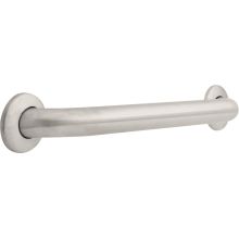 Commercial 18" Grab Bar with Concealed Mounting