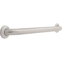 Commercial 24" Grab Bar with Concealed Mounting