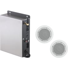 SteamScape Audio Speaker System with Audio Module and 2 Speakers