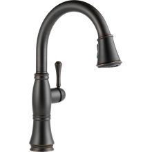 Cassidy Pull-Down Kitchen Faucet with Magnetic Docking Spray Head and ShieldSpray - Includes Lifetime Warranty