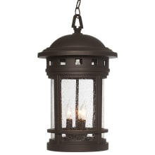 3 Light 11" Cast Aluminum Hanging Lantern from the Sedona Collection