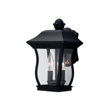 2 Light 8.25" Cast Aluminum Cast Wall Lantern from the Chelsea Collection