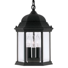 3 Light 9.5" Cast Aluminum Hanging Lantern from the Devonshire Collection