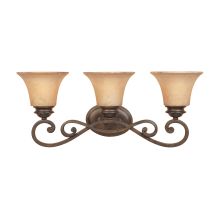 Three Light Down Lighting 24.25" Wide Bathroom Fixture from the Mendocino Collection