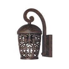 Single Light Down Lighting Outdoor Wall Lantern from the Dark Sky Amherst Collection