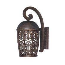 Single Light Down Lighting Outdoor Wall Lantern from the Dark Sky Amherst Collection