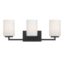 Leavenworth 3 Light 24" Reversible Bathroom Vanity Light with Etched Opal Glass Shades
