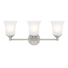 Bronson 3 Light 23" Reversible Bathroom Vanity Light with Frosted Glass Shades