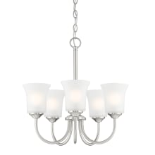 Bronson 5 Light 20" Wide Chandelier with Frosted Glass Shades