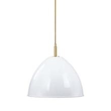 Biba 15" Wide Pendant