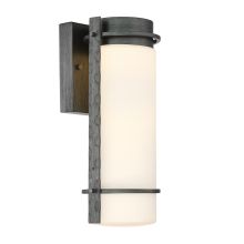 Aldridge 1 Light 13" Tall Energy Star LED Outdoor Wall Sconce with Opal Shade