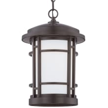 Barrister 1 Light LED Outdoor Small Pendant