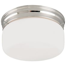 2 Light 9" Wide Flush Mount Drum Ceiling Fixture with Frosted Glass Shade